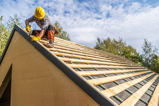 Best Roof Gutter Cleaning  in Dunsmuir, CA